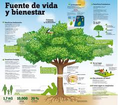 EL CUIDADO DE LAS PLANTAS