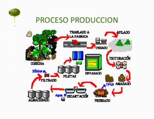 Proceso de elaboración de aceite.