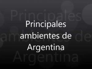 Ambiente de Argentina