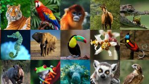 Enciclopedia virtual de animales